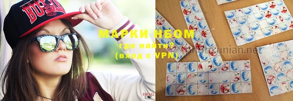 PSILOCYBIN Белокуриха