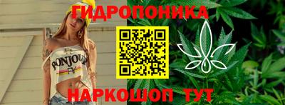 тгк Свободный