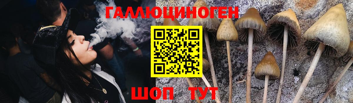 Псилоцибиновые грибы Magic Shrooms  сколько стоит  Сланцы  Вход с VPN 